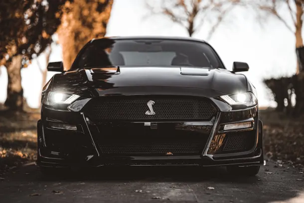 Luckland Casino Android/iOS-app